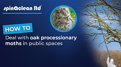 Dealing with oak processionary moths in public spaces